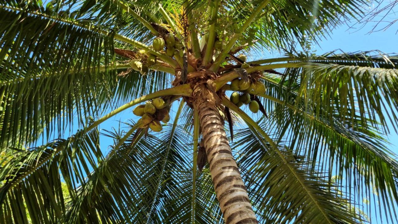 Eco-camping El Frutal Isla Grande (Cartagena)