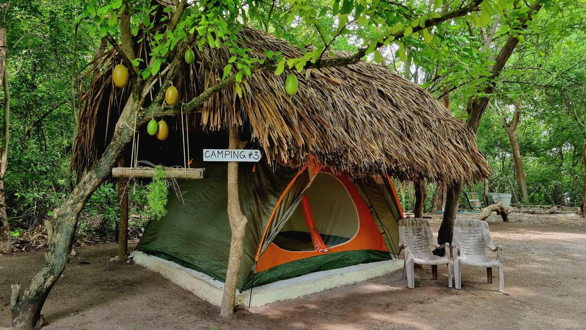 Eco-camping El Frutal Campsite